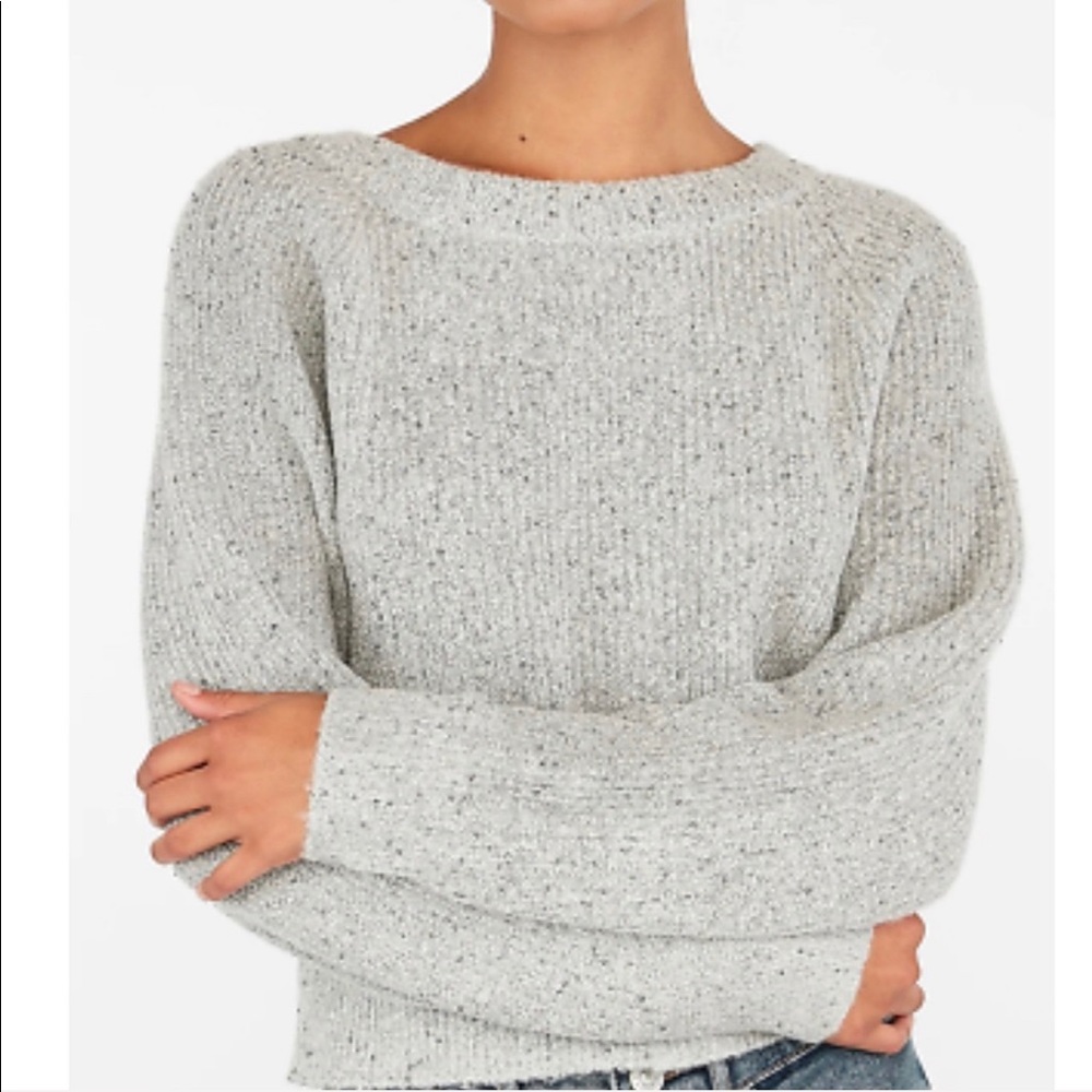 Express Sequin Sweater